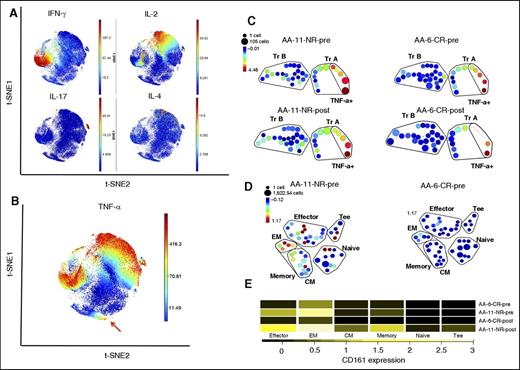 Figure 3. PMA/ionomycin-stimulated Treg and Tcon subpopulations. PBMCs from 16 patients and 5 HDs were stimulated for 4 hours with PMA, a calcium ionophore (ionomycin), and protein transport inhibitor (brefeldin A) and stained with a panel of antibodies based on 29 surface markers, transcription factors, and cytokines (supplemental Table 1). Treg subpopulations A and B were identified within Tregs after stimulation with Treg profiles that distinguished responders from nonresponders to IST (supplemental Figure 3). (A) Following 4 hours stimulation with PMA and ionomycin in the presence of brefeldin, PBMCs were stained for surface and intracellular markers (supplemental Table 1, panel 2) followed by mass cytometry and viSNE on CD4+ T cells. Cytokine-secreting CD4+ T cells, including IFN-γ, IL-2–, IL-17–, and IL-4–secreting cells, localized distinctly with minimal overlap and outside “Treg’s area.” Both Treg A and Treg B populations show higher expression of IL-10 compared with “non-Tregs” and TNF-α–secreting Tregs, but there was no significant difference between Tregs A and B in terms of IL-10 expression. (B) Unlike the rest of cytokine-secreting CD4+ T cells, TNF-α–secreting cells were spread over several areas, including the Treg A subpopulation (red arrow). (C) SPADE analysis of Tregs A and B following 4 hours’ stimulation with PMA/ionomycin and intracellular staining (supplemental Table 1, panel 2). Although the TNF-α–secreting cells within the Treg A subpopulation reduces after IST in responder AA patients, there is no similar reduction in nonresponder patients (patient AA-11 is an IST nonresponder and AA-6 is a responder patient). (D-E) SPADE clustering based on CD45RA, CD45RO, CD27, and CD62L. The Tcon subpopulations were defined as naïve (CD45RA+ CD45RO- CD27hi), memory (CD45RA− CD45RO+ CD27lo), central memory (CM; CD45RA− CD45RO+ CD27lo CD62Lhi), effector memory (EM; CD45RA− CD45RO+ CD27lo CD62Llo), effector (CD45RA− CD45RO+ CD27lo), and terminal effectors (Tee; CD45RA+ CD45RO− CD27lo). Tcon with effector phenotype expresses higher CD161 in nonresponder patients at the time of diagnosis compared with responder AA patients (patient AA-11 is an IST nonresponder and AA-6 is a responder patient). The frequencies of these subpopulations were not significantly different between IST responder and IST nonresponder patients at the time of diagnosis. The naïve Tcon from IST nonresponder patients were expressing slightly higher CCR4 compared with responder patients (supplemental Table 2).