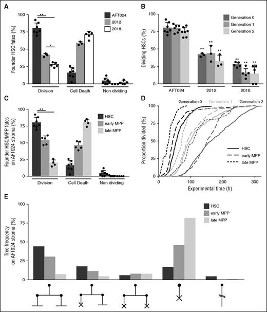 Figure 2. Continuous single-cell analysis reveals cell-fate differences between supportive and nonsupportive conditions. (A) Cell-fate quantification of founder HSCs cocultured with different stroma: supportive AFT024 (dark gray bars, n = 7 independent experiments, 290 trees), intermediately supportive 2012 (n = 3 independent experiments, 129 trees), and nonsupportive 2018 (white bars, n = 5 independent experiments, 264 trees). (B) Quantification of dividing HSC rates on different stroma over the first 3 generations. (C) Cell-fate quantification of founder early (n = 5 independent experiments, 274 trees) and late MPPs (n = 4 independent experiments, 211 trees) compared with HSCs cultured on supportive AFT024 stroma. (D) Cumulative time curves representing absolute time required for HSC/MPP division on AFT024 stroma. (E) Quantification of most representative HSC/MPP tree genealogies cultured on AFT024 stroma (up to generation 1).