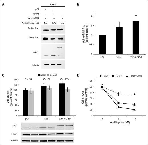 Figure 4. VAV1-GSS fusion induces targetable RAC1 dependence. (A) VAV1-GSS fusion induces Rac activation in Jurkat cells. (B) Rac activation data summarizing 3 independent experiments as shown in A. (C) RAC1 knock-down abrogates effect of VAV1-GSS fusion on cell growth. (D) Jurkat cells transfected with VAV1-GSS exhibit greater sensitivity to azathioprine than cells transfected with wild-type VAV1 or an empty vector control.