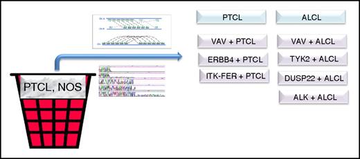 Integrated MPseq and RNAseq reveal novel gene fusion transcripts adding to the genomic heterogeneity within PTCL, NOS.