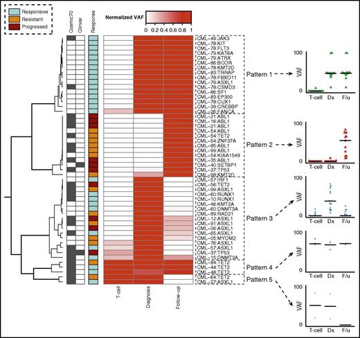 Figure 2. Mutation dynamics of somatic variants sorted and grouped using unsupervised hierarchical clustering. Rows are the gene names of all nonsilent variants found in the cohort (sorted by the clustering algorithm). Columns are the sample time points: T-cell, diagnosis, and follow-up (fixed temporal order). Color intensity indicates the row-normalized VAF. Major pattern groups are highlighted and labeled. The dot plot on the right represents the raw VAFs of the variants within each pattern group. Cells on the left indicate mutation presence in Catalogue of Somatic Mutations in Cancer (COSMIC) and Clinvar databases.