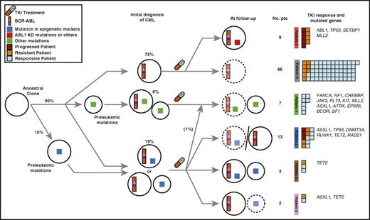 Figure 5. Clonal diversity of CML patients across disease stages. Clonal evolution models per sample stage based on our mutation pattern model. Paired circles indicate separate inferred subclones, with the smaller circle always representing Ph− clones. Dotted lines indicate clones that were successfully treated and remain only in low levels (pattern 3 at follow-up denotes the 2 different clonal scenarios). Boxes on the right are colored to indicate TKI response per patient.