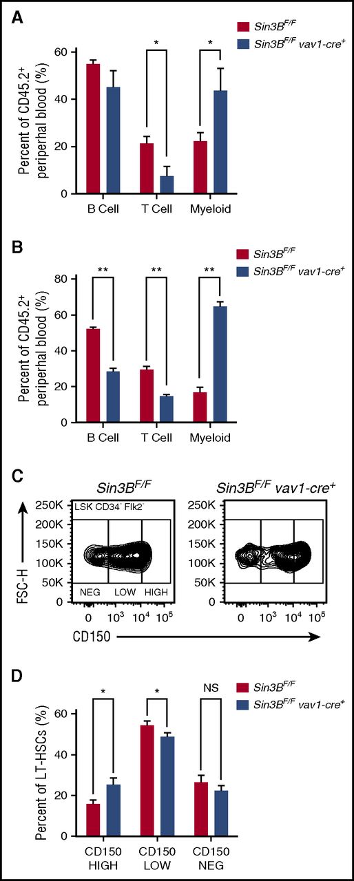 Figure 3. Sin3BCKO HSCs are myeloid biased. Percent of B (B220+), T (CD4+ or CD8+), and myeloid (CD11b+) cells from donor-derived peripheral blood in primary (A) and secondary (B) recipient animals 20 weeks after transplantation. (C) Representative FACS plot of CD150 surface staining of LT-HSCs of indicated genotypes. (D) Quantification of percentage of CD150HIGH, CD150LOW, and CD150NEG within the LT-HSC population; n ≥ 8. Data are represented as mean ± SEM. *P < .05; **P < .01. NS, not significant.