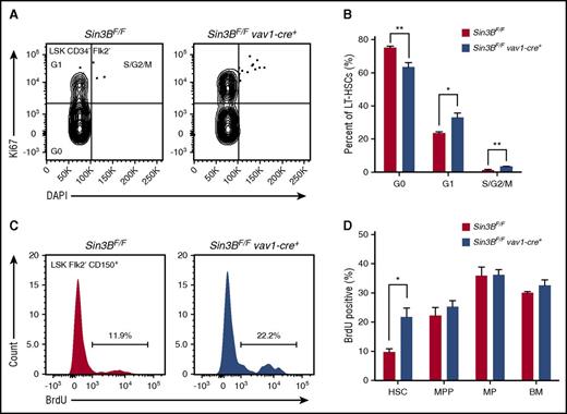 Figure 5. Sin3B is required for the maintenance of HSC quiescence. (A) Representative FACS plot of intracellular Ki67 staining and DNA content (DAPI) in control and Sin3BCKO HSCs. (B) Quantification of the distribution of HSCs in the G0, G1, and S/G2/M phases of the cell cycle; n = 4. (C) Representative FACS plot of BrdU incorporation in control and Sin3BCKO HSCs. (D) Quantification of BrdU incorporation of indicated cell populations; n = 3. Data are represented as mean ± SEM. *P < .05; **P< .01.