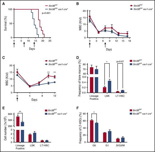 Figure 6. Sin3BCKO animals are sensitized to myelosuppressive therapy. (A) Survival analysis of control and Sin3BCKO animals injected weekly with 150 mg/kg 5-FU. Arrows indicate days of injection (days 0, 7, and 14); n = 9 per genotype. (B) Absolute leukocyte count in the peripheral blood after serial injections of 5-FU. Arrows indicate days of injection (days 0 and 7). Days 0 and 7 counts are prior to 5-FU injection; n ≥ 3. (C) Absolute leukocyte count in the peripheral blood after a single injection of 5-FU. Arrow indicates day of injection (day 0). Day 0 counts are prior to 5-FU injection; n ≥ 3. Frequency (D) and cell number (E) of indicated populations in the bone marrow at day 12 following 5-FU injection; n ≥ 3. (F) Quantification of the distribution of HSCs in the G0, G1, and S/G2/M phases of the cell cycle at day 12 following 5-FU injection; n ≥ 3. Data are represented as mean ± SEM. *P < .05; **P < .01.