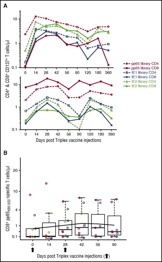 Figure 3. CMV-specific T-cell responses. (A) IE1-exon4- and IE2-exon5-specific T-cell responses. UPN 24 (top plot) and UPN 9 (lower plot) represent longitudinal profiles, showing expansion of the 3 CMV antigens expressed by Triplex. Two injections of Triplex were administered on days 0 and 28. (B) CD8+ pp65495-503-specific T-cell levels. Box plots cover central 50% of observations, and the central bars show median. Whiskers extend to at most 1.5 times box length, and individual observations are shown with colored circles. Red circles indicate subjects from DL1; green indicates subjects from DL2, and blue indicates subjects from DL3. The black line shows the fitted means on a square-root scale from a piecewise linear GEE model, with a change in slope at day 42 and no DL distinction.