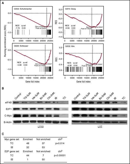 Figure 5. TGR-1202 and carfilzomib inhibits c-Myc–dependent gene transcription. (A) GSEA of c-Myc target genes in LY10 cells treated by the TC combination. The x-axis represents the listed genes ranked from most upregulated to most downregulated. The y-axis indicates RESs. All the 4 gene sets reached their peak RES score at the end of ranked gene list, indicating that the drug combination of TG and Cfz exhibits a negative effect on the transcription of c-Myc targets. (B) LY10 and LY7 cells were treated as indicated for 24 hours then processed for western blot against 2 known targets of c-Myc, namely eIF4B and E2F1. (C) The χ2 test was performed to compare Myc and E2F1 gene sets enriched and not enriched for transcriptional downregulation in cells treated by the TC and IB drug combinations. GS29, Schlosser_Myc_Targets; GS32, Kim_Myc_Targets; GS52, Schuhmacher_Myc_Targets; GS70, Dang_Regulated_By_Myc.