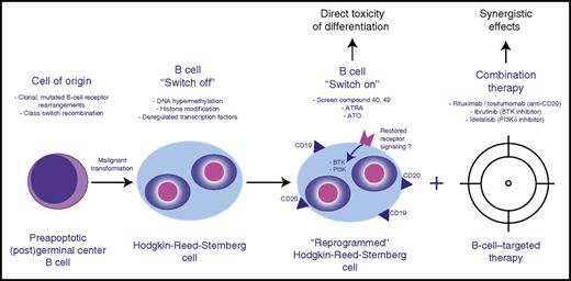 Therapeutic design of combined cell differentiation and B-cell–targeted therapy. BTK, Bruton’s tyrosine kinase.