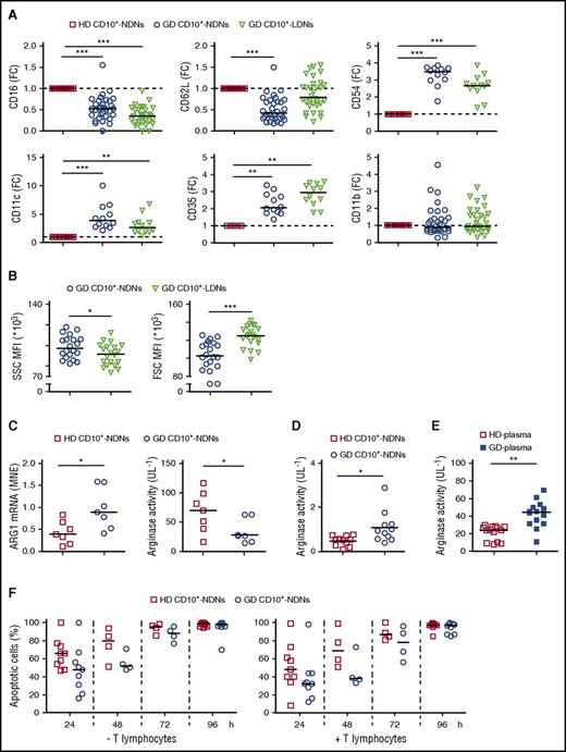 Figure 4. CD10+ LDNs and/or CD10+ NDNs from GDs display an activated phenotype, high levels of ARG1 mRNA, and low intracellular arginase activity. (A) Panels display the levels of CD16, CD62L, CD54, CD11c, CD35, and CD11b expression in CD10+ NDNs and CD10+ LDNs from GDs, as evaluated by flow cytometry. For each antigen, data are expressed as median fold change (FC) of its mean fluorescence intensity (MFI) in CD10+ NDNs or CD10+ LDNs from GDs over CD10+ NDNs from HDs. Graph values indicate medians from independent experiments. Each symbol stands for a single HD or GD (n = 12-32). **P ≤ .01; ***P ≤ .001, by 1-way ANOVA with the Dunnett posttest. (B) Panels display the MFI of the side scatter (SSC) (left panel) and the forward scatter (FSC) (right panel) of CD10+ NDNs and CD10+ NDNs from GDs (n = 20), as evaluated by flow cytometry. Graph values indicate medians from independent experiments. Each symbol stands for a single GD. *P ≤ .05; ***P ≤ .001, by the Mann-Whitney U test. (C) Panels display ARG1 mRNA expression (left panel) and intracellular arginase activity (right panel), as evaluated by reverse transcription polymerase chain reaction (RT-PCR) and specific enzymatic assay, respectively, in CD10+ NDNs from HDs or GDs. Graph values indicate medians from independent experiments (n = 7). *P ≤ .05, by the Mann-Whitney U test. (D-E) The panels display arginase activity in the culture medium harvested from cocultures of T cells and CD10+ NDNs from HDs (n = 11) or GDs (n = 11) (D) or in plasma obtained from HDs (n = 14) or GDs (n = 14) (E). Graph values indicate medians from independent experiments. Each symbol stands for a single HD or GD. *P ≤ .05; **P ≤ .01, by the Mann-Whitney U test. (F) The frequency of apoptotic CD10+ NDNs from HDs or GDs, cultured, for the time indicated, alone (left panel) or in the presence of CD3/CD28-stimulated T cells at a 5:1 neutrophil-to-T-cell ratio (right panel) as revealed by flow cytometry. Graph values indicate medians from independent experiments (n = 4-9). MNE, mean normalized expression.