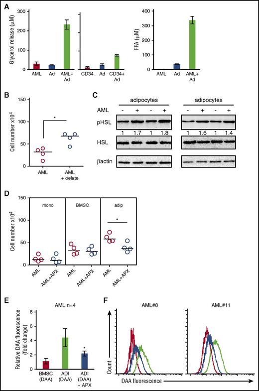 Figure 2. AML blasts induce adipocyte lipolysis. (A) Primary AML blasts or nonmalignant CD34+ cells were cultured alone or in coculture with adipocytes for 24 hours. Media were removed and used to detect free FA and glycerol. Data are represented as mean ± standard deviation. (B) AML blasts incubated with media supplemented with BSA or media supplemented with 100 µM of oleate-BSA conjugate for 2 days and AML blasts counted using flow cytometry and Trypan blue exclusion (n = 4). The line through the data indicates the median. (C) Immunoblot for pHSL from adipocytes cultured with and without AML blasts (n = 4). Blots were reprobed for total HSL and β-actin to show equal sample loading. (D) Primary AML blasts in monoculture or cultured with adipocytes (adip) or BMSC with and without treatment with acipomox (APX) (10 μM) for 72 hours. AML blasts were counted using flow cytometry and Trypan blue exclusion (n = 4). The Mann-Whitney U test was used to determine statistical significance between treatment groups. Data are represented as mean ± standard deviation. (E-F) AML blasts cultured on adipocytes (ADI; with and without acipomox, 10 μM) or BMSC that had been preincubated with fluorescent DDA for 24 hours (n = 4). Blasts were analyzed for uptake of the fluorescent DDA by flow cytometry. Data are represented as mean ± standard deviation. (E) The red line is AML cultured on BMSC; the black line is AML cultured on adipocytes, and the blue line is AML cultured on adipocytes treated with acipomox. *P < .05. FFA, free fatty acid.