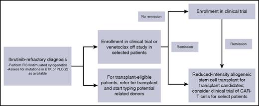 Figure 2. My approach to ibrutinib-refractory CLL. CAR-T, chimeric antigen receptor T; FISH, fluorescence in situ hybridization.