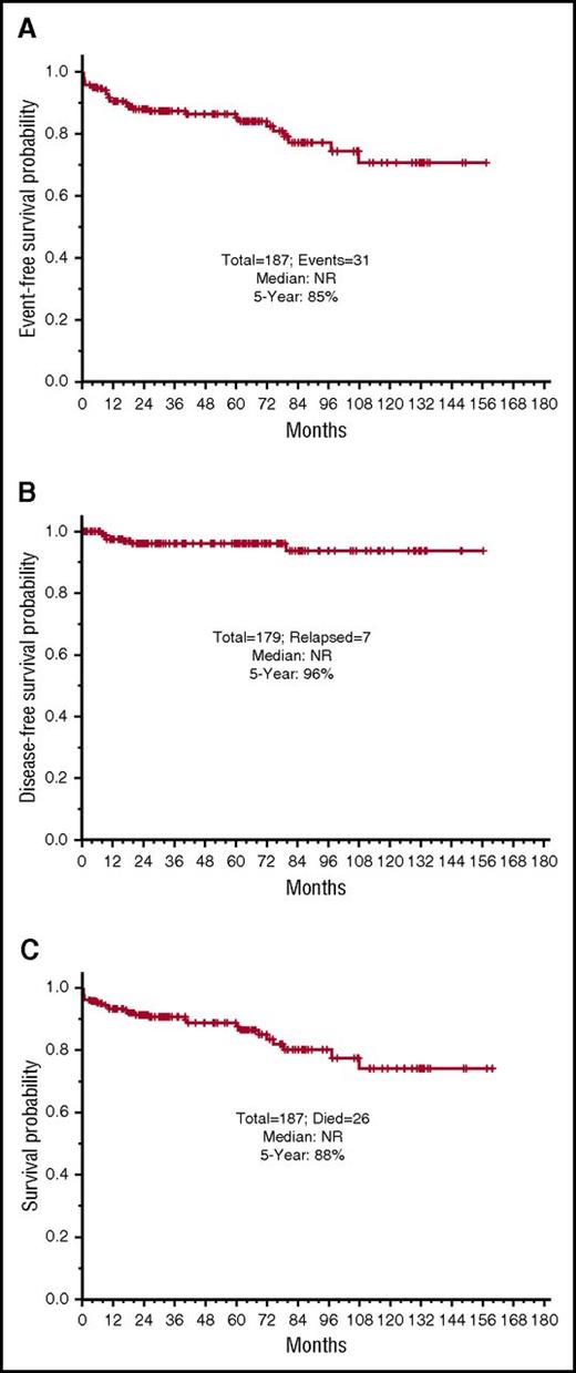 Figure 3. Survival outcomes for the whole population. (A) Event-free survival. (B) Disease-free survival. (C) Overall survival for the entire group.
