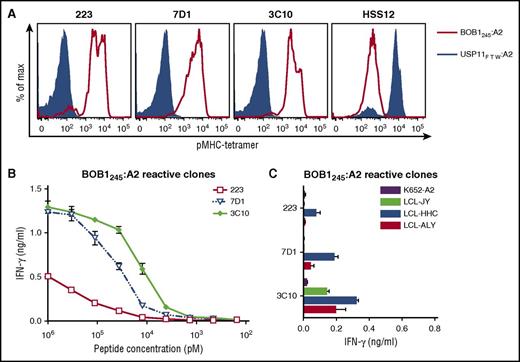 Figure 1. BOB1-reactive T-cell clones exhibit varying degrees of peptide sensitivity and avidity. BOB1-reactive T-cell clones recognizing peptide BOB1245 presented in HLA-A2 were assessed for peptide sensitivity by peptide titration and their capacity to recognize endogenously processed peptide. (A) Shown are histograms of 3 representative T-cell clones stained with pMHC tetramer BOB1245:A2 (red line) or control pMHC tetramer composed of irrelevant USP11-derived peptide FTWEGLYNV bound to HLA-A2 (USP11FTW:A2; blue area). T-cell clone HSS12 specific for USP11FTW:A2 served as control. (B-C) BOB1-reactive T-cell clones were coincubated with K562-A2 cells pulsed with (B) titrated BOB1245 peptide or (C) 3 BOB1-expressing HLA-A2+ B-LCLs. BOB1− K562-A2 cells were used as control. Shown are means with standard deviations of 1 representative experiment carried out in duplicate.