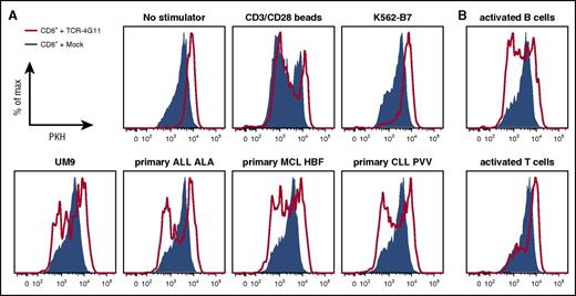 Figure 6. TCR-transduced CD8+ T cells proliferate upon antigen encounter. (A-B) PKH-labeled transduced CD8+ T cells were cocultured with irradiated HLA-B7+ stimulator cells. Histograms show TCR-transduced (red line) or mock-transduced (blue area) CD8+ T cells after 5 days of coculture. (A) Stimulator cells included cell line UM9 and primary ALL, CLL, and MCL. Negative controls included culture in absence of stimulator cells (no stimulators) or coculture with BOB1− K562-B7 cells. Positive control included stimulation in the presence of CD3/CD28 T-cell activator beads (CD3/CD28 beads). (B) Autologous CD40L-stimulated B cells or phytohemagglutinin-activated T cells were used as stimulator cells.