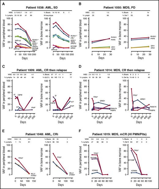 Figure 1. Comparison of clonal architectures in PB vs BM samples. Each panel contains pairwise analysis of the VAF (the ratio of the variant reads vs total reads) in the PB and BM. (A) The 2 purple lines represent variants in miR142. *Indicates variants with evidence of loss of heterozygosity or copy number changes. NI, normal; SD, stable disease. (B) Del, deletion; PD, progressive disease. (C) CR, complete remission. (D) CR. (E) CRi, complete remission with incomplete count recovery; WBC, white blood cell. (F) mCR (HI PMN/Plts), marrow complete remission with hematologic improvement in neutrophils and platelets. Days, number of days since starting decitabine.