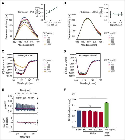 Figure 1. UHRA does not bind to human fibrinogen or influence fibrin polymerization. For fluorometric experiments, (A) a fixed concentration of fibrinogen (0.25 µM) in 10 mM phosphate-buffered saline containing 137 mM NaCl (pH 7.4) was incubated with either UHRA or polyethyleneimine (PEI) at 37°C for 5 minutes. The solution was then excited at 280 nm, and emission spectra from 300 to 400 nm were recorded to follow the effect of increasing PEI concentrations on the tryptophan fluorescence emission of fibrinogen. PEI quenched the fluorescence signal in a concentration-dependent fashion. (B) The effect of increasing UHRA concentration on the tryptophan fluorescence emission of fibrinogen. The intensity of the fluorescence signal remained unchanged even in the presence of 1000 µg/mL UHRA, indicating minimal interaction of UHRA with fibrinogen. The depicted fluorescence spectra are the average of 3 independent experiments. Error values are small and not shown for data presentation clarity. The insets show the quenching effect of UHRA or PEI on the fibrinogen fluorescence. Data in the inset are mean ± standard deviation (n = 3). Experimental settings were as in A. (C) CD experiments were conducted by incubating UHRA or PEI with fibrinogen (0.4 µM) in 20 mM sodium phosphate (pH 7.4) at 37°C for 5 minutes; the equilibrated sample was then scanned from 190 to 260 nm. PEI at 500 or 1000 µg/mL caused significant changes in the secondary structure of fibrinogen. CD spectra shown are baseline-corrected using mean protein-free control scans (n = 2). (D) CD spectra of the fibrinogen–UHRA mixture were acquired as in C. No significant change in ellipticity at 208 and 222 nm was observed. (E) A binding isotherm was obtained using ITC by titrating UHRA with fibrinogen. The upper panel depicts the raw data (power signal), and the lower panel shows the integrated areas corresponding to each injection, normalized to the moles of UHRA injected into fibrinogen solution and plotted as a function of molar ratio (UHRA/fibrinogen). The raw heat data of UHRA titration into fibrinogen solution showed very weak endothermic peaks. This confirmed that UHRA did not bind to fibrinogen. (F) The final turbidity of mature fibrin clots produced from purified fibrinogen in the presence of UHRA or protamine was measured. Even at 500 µg/mL, UHRA did not alter the final turbidity relative to the polycation-free control. In comparison, significant increases in final turbidity are observed as protamine concentration is increased to 50 µg/mL (****P < .0005). All experiments were performed in triplicate. Results are expressed as the mean ± SE of 9 measurements from 3 independent experiments. Unpaired 2-tailed t tests were performed to determine significance, with P < .05 indicating a statistically significant change. Details of ITC and fibrin polymerization experiments are described in the supplemental Data (pages 6-7).
