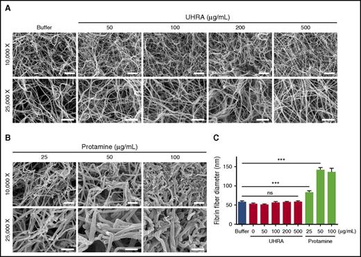 Figure 4. UHRA does not alter purified fibrin clot morphology or fiber diameter. Clots were made by incubating 3 mg/mL human fibrinogen in 3.0 mM CaCl2 plus UHRA or protamine and then initiating clotting with 2.5 National Institutes of Health Units/mL thrombin. Clots were then allowed to mature for 1 hour and processed for SEM imaging. (A) SEM images of fibrin clots formed in the presence of UHRA at different concentrations (50-500 µg/mL) were determined at both low (original magnification ×10 000; scale bar, 2 µm) and high (original magnification ×25 000; scale bar, 1 µm) magnifications. Clot architectures formed in the presence of UHRA are similar to that for the polycation-free control, even up to UHRA concentrations of 500 µg/mL. (B) SEM images of fibrin clots formed in the presence of protamine exhibit altered morphologies compared with the control clot. (C) Fibrin fiber diameters of clots formed in the presence of UHRA or protamine. Fiber diameter is measured from scanning electron micrographs, using ImageJ software. A total of 30 fibers were analyzed. Fibers for size analysis were selected by probing 4 different spots in each image. Data are mean ± SE (n = 30 fibers; measured from 4 images of 2 independent clots). Statistical significance for fiber diameter was determined by comparing the UHRA or protamine-treated group with the control, using a 1-way ANOVA followed by a Dunnett post hoc test. Fibrin fibers formed in the presence of 25 µg/mL protamine are significantly thicker than those in the control clot (***P < .001).