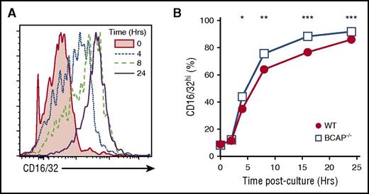 Figure 5. Accelerated differentiation of BCAP−/− CMP cells in vitro. (A) A total of 5000 CMP cells from WT lineage− BM were cultured with SCF, IL-3, and IL-6 for up to 24 hours for maturation into GMP cells. Histogram overlay of CD16/32 expression on WT CMP cells at indicated times; data are representative of 2 independent experiments. (B) Frequency of CD16/32hi cells at times indicated in panel A from WT and BCAP−/− CMP cultures; data are representative of 2 independent experiments; data show mean of n = 3 mice per group; for all time points, standard deviation < 3%. *P < .05, **P < .01, and ***P < .001, as determined by 2-tailed, unpaired Student t test.
