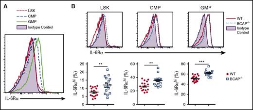 Figure 6. Increased proportion of IL-6Rα+ cells among BCAP−/− HSPCs. (A) Representative histogram overlay of IL-6Rα expression on LSK, CMP, and GMP cells in lineage− (Lin−) BM of WT mice. Data are representative of 4 independent experiments. (B) (Top) Representative histogram overlays of IL-6Rα expression on LSK (left), CMP (middle), and GMP (right) cells from Lin− BM of WT and BCAP−/− mice; data are representative of 4 independent experiments. (Bottom) Frequency of IL-6Rαhi cells within LSK (left), CMP (middle), and GMP (right) populations from Lin− BM of WT and BCAP−/− mice; data are pooled from 4 independent experiments, and each symbol represents an individual mouse; graphs show mean ± standard error of the mean, with n = 12 mice per group. In panels A and B, isotype control antibody staining is shown as purple shaded histograms. *P < .05, **P < .01, and ***P < .001, as determined by 2-tailed, unpaired Student t test.