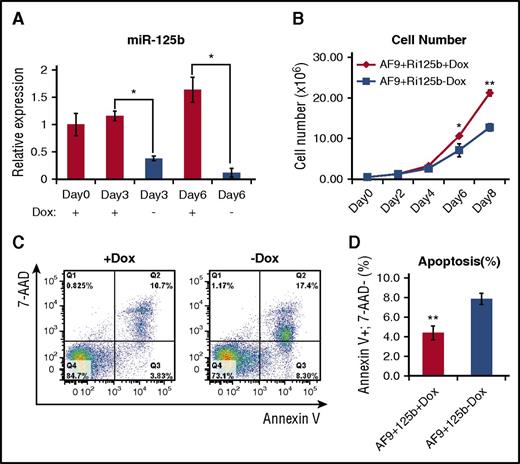 Figure 3. Withdrawal of miR-125b expression leads to decreased cell number and increased apoptosis. (A) Primary AF9+Ri125b+Dox AML cells were cultured in vitro in the presence or absence of Dox. Relative miR-125b expression levels were determined at the indicated days. U6 was used as a control (n = 3; *P < .01). (B) Viable cell counts for +Dox and −Dox cells at indicated days, for experiment described in (A) (n = 3; *P < .05; **P < .001). (C) Cells in experiment described in (A) were harvested on day 3 and stained with annexin V and 7-aminoactinomycin D (7-AAD). Representative flow cytometry plots (of 3 replicates) are shown. (D) Quantification of annexin V+ 7-AAD− cells for the experiment described in (C) (n = 3; error bars represent standard deviation; **P < .01).