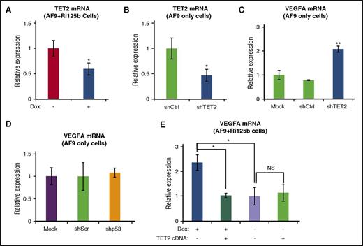 Figure 6. miR-125b upregulates VEGFA expression in part through suppression of TET2. (A) TET2 messenger RNA (mRNA) levels were assessed by quantitative reverse transcription polymerase chain reaction (qRT-PCR) in AF9+Ri125b+Dox and AF9+Ri125b−Dox cells at day 6. 18S ribosomal RNA (rRNA) was used as an internal control (n = 3). (B) shRNA against TET2 or a control shRNA was transduced into primary MLL-AF9–only AML cells. TET2 expression levels were determined by qRT-PCR 7 days after transduction (n = 3). (C) MLL-AF9–only leukemia cells were infected with shTET2, shCtrl, or a mock infection. After 7 days of puromycin selection, total mRNAs were harvested for TET2 expression analysis. 18S rRNA was used as an internal control (n = 3). (D) VEGFA mRNA levels were analyzed in MLL-AF9–only AML cells that were infected with shp53 or a control shScr vector. 18s was used as an internal control (n = 3). (E) TET2 cDNA or a control vector was transduced into AF9+Ri125b AML cells in the presence or absence of Dox treatment. Transduced cells were fluorescence-activated cell sorted 36 hours post infection, and the levels of VEGFA expression were determined by qRT-PCR and normalized to 18S rRNA (n = 3; error bars represent standard deviations; *P < .01; **P < .001 in all panels). NS, not significant.