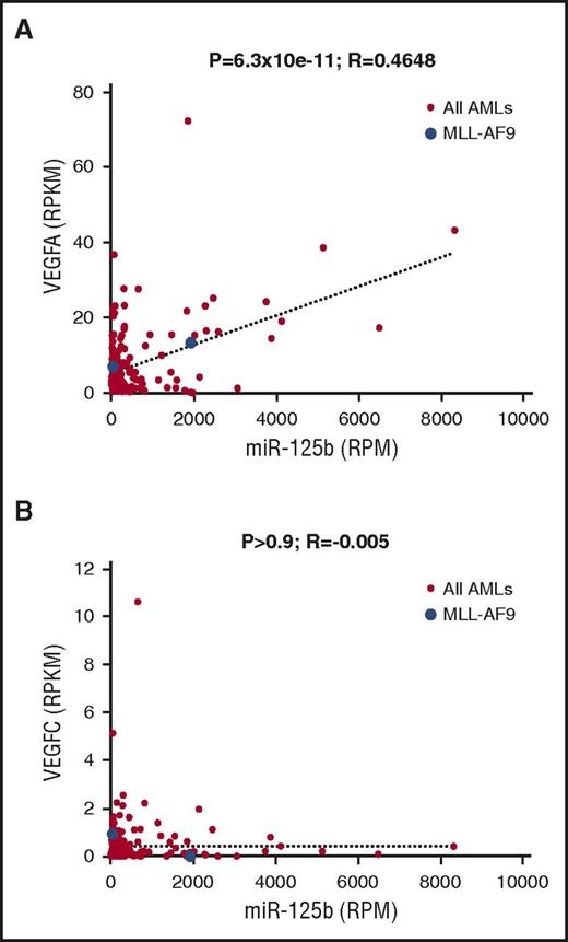 Figure 7. miR-125b correlates with VEGFA mRNA expression in samples from human patients with AML. (A) Correlation analysis between miR-125b expression and VEGFA mRNA expression levels in human patients with AML from The Cancer Genome Atlas data, which contain a total of 178 samples. Expression levels were expressed in reads per million (RPM) or reads per million per kilobase (RPKM). Each dot represents 1 sample. Blue dots: patient samples with MLL-AF9 translocation. Red dots: patients with AML without MLL-AF9 translocation. (B) Similar analysis as in (A) between miR-125b and VEGFC. P values and R values are indicated.