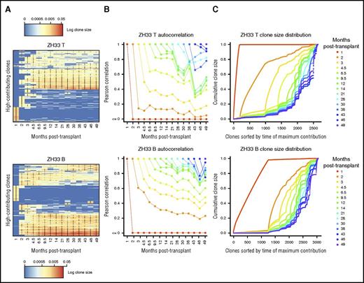 Figure 5. Stability of lymphopoiesis over time. (A) Heat map showing the natural log fractional abundances of the highest contributing T-cell (T; top) and B-cell (B; bottom) barcodes (clones) in ZH33 over time, defined as the set of all barcodes present as a top 100 highest contributing barcode in ≥1 of the samples shown. Each row corresponds to 1 barcode. The barcodes are organized by unsupervised hierarchical clustering using the Euclidean distance between barcodes’ log fractional abundances, with relative contribution shown as a red-to-blue gradient, representing high contribution to no contribution, respectively. Clones are clustered along the y-axis to place similar clones next to each other. *Indicates the top 100 clones in a given sample; thus, there are 100 in each column and ≥1 in each row. (B) Pearson correlations between T-cell (top) and B-cell (bottom) clonalities in ZH33 at a certain time point posttransplantation and all subsequent T-cell or B-cell clonalities are plotted as individual lines. Each time point is shown as a different color line, so, for example, the correlation of the 1-month sample with the 2-month sample is shown by the position of the red line at the 2-month time point on the y-axis. These correlations depict the stability of T-cell or B-cell clonality over time. (C) The total clonal repertoires of barcoded T-cell (top) and B-cell (bottom) populations are displayed as cumulative distribution curves over time for ZH33. Each position on the x-axis is an individual clone, and each line is the cumulative distribution of clonal contributions at the specified time point. That is, the height of the line at an index on the x-axis is the sum of the clonal contributions of the clones with an index less than or equal to the index in question, at the time point being plotted. Lower indices indicate earlier clones, and the clone ordering on the x-axis is determined by time of maximum contribution. The ordering is shared among time points, enabling comparison of the behavior of individual clones across time. Thus, this figure shows emergence of new clones over time. Because contribution is assessed fractionally, the y-axis is from 0 to 1.