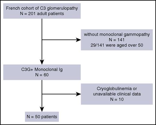 Figure 1. Patients’ recruitment. Flowchart of inclusion of patients within the adult population of the French C3G registry (n = 201). A total of 50 patients were eligible for enrollment in the study, based on the presence of monoclonal gammopathy by electrophoresis and immunofixation and the availability of clinical data.