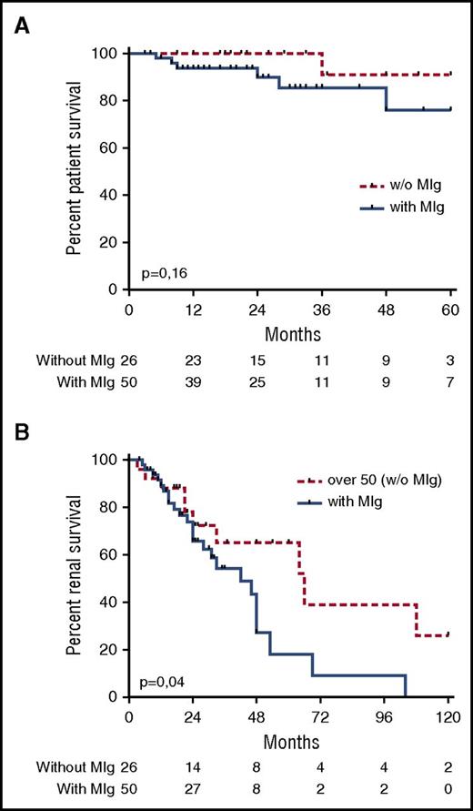Figure 3. Renal and patient survival. (A) Kaplan-Meier patient survival analysis comparing C3G patients with or without MIg older than 50 years. (B) Kaplan-Meier renal survival analysis comparing patients with MIg-C3G and patients with C3G without MIg older than 50 years.