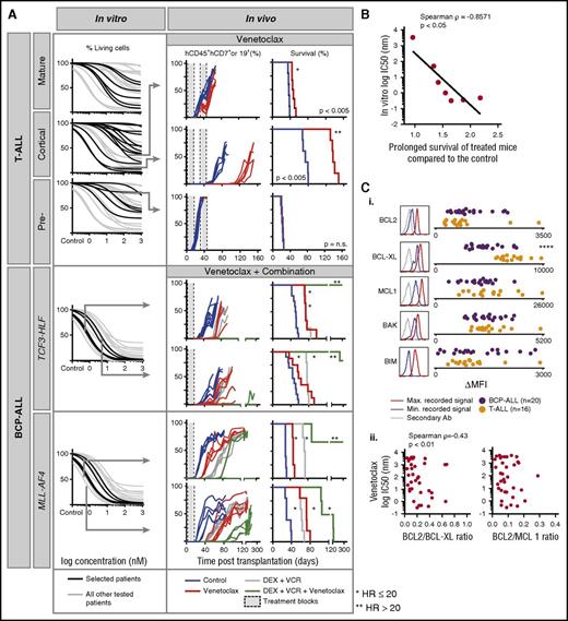 Figure 5. In vitro sensitivity to the BCL-2 antagonist venetoclax correlates with the response in leukemia xenografts. (A) In vitro response to venetoclax for indicated ALL subtypes (black) compared with other ALL (gray). From top to bottom: mature T-ALL (n = 6), cortical T-ALL (n = 13), pre-T-ALL (n = 6), TCF3-HLF ALL (n = 4), and MLL-AF4 ALL (n = 3). Cell viability (7-aminoactinomycin D) was measured by flow cytometry after 72 hours of treatment and was normalized against controls treated with dimethyl sulfoxide. Arrows indicate samples whose response had been validated in vivo for venetoclax (top to bottom: T-VHR-03, T-HR-11, and T-HR-10) or venetoclax in combination with vincristine and dexamethasone (top to bottom: B-HR-24, B-HR-20, B-HR-26, and B-VHR-07). The left panel shows the number of leukemia cells compared with mouse lymphocytes over time. The right panel shows corresponding Kaplan-Meier survival curves (event defined as 25% of mCD45–hCD45+hCD19+ or hCD7+ leukemia cells detected by flow cytometry). (B) In vitro response to venetoclax correlates with fold increase of survival comparing treatment with venetoclax with treatment with vehicle (n = 7). (C) BCL2 protein family expression (i) analyzed by flow cytometer in T-ALL (n = 16) and BCP-ALL (n = 20). Correlation of BCL2:BCL-XL and BCL2:MCL1 ratio (ii) with in vitro venetoclax response. ****P < .001 (2-tailed Student t test). Ab, antibody; HR, hazard ratio; Max., maximum; MFI, mean fluorescent intensity; Min., minimum.