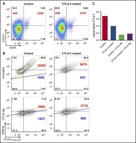 Figure 4. CTLA-4 ligand uptake reveals defects in patients with CTLA-4 deficiency. (A) Expression of Foxp3 and total CTLA-4 (BN13) on unstimulated CD45RA− memory CD4 T cells were compared between a ligand-binding mutant (P137R) and healthy control. CTLA-4 MFI in Foxp3+ and Foxp3− populations is shown in large font. Percentages are shown in quadrants. (B) Impaired ligand uptake by CTLA-4–deficient patient. CD4 T cells were stimulated with CD3/CD28 beads and gated on Foxp3+ cells. Total CTLA-4 staining (C19 antibody) is plotted against ligand uptake (CD80-Ig). Changes in slope reflect alterations in ligand uptake efficiency and are overlaid in control plot. CD80-Ig MFI (top right) and CTLA-4 MFI (bottom right) are shown in large font. (C) Comparison of the slope of the line of best fit from the data in panel B.