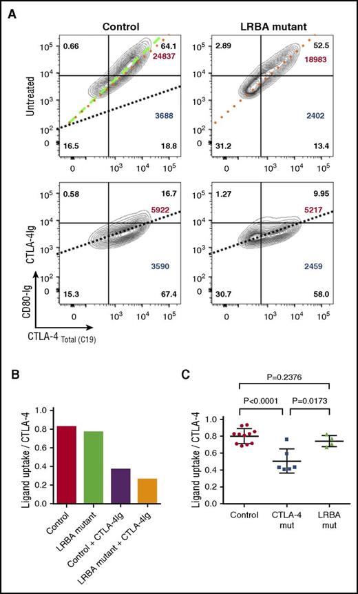 Figure 6. Ligand uptake is relatively unaffected in LRBA-deficient patients. (A) CD4 T cells were stimulated with CD3/CD28 beads and total CTLA-4 (C19) plotted against CD80-Ig uptake gating on CD4+ memory Tregs. Slope of the line represents efficiency of CD80 uptake. Dotted lines are overlaid in the control plot (top left) for comparison. CTLA-4-Ig treatment (bottom panels) provides a negative control by blocking ligand uptake. CD80-Ig MFI is shown in large font (top right) and CTLA-4 MFI in large font (bottom right). Percentages are shown in all quadrants. (B) Graph is generated using the slope of the line of best fit from the data in panel A. (C) Collated ligand uptake efficiency data are shown for CTLA-4 and LRBA mutations.