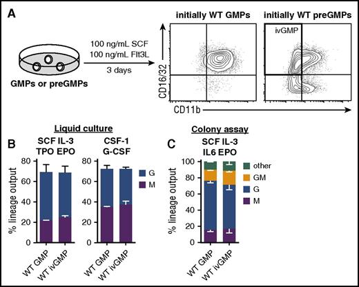Figure 2. Derivation and lineage potential of ivGMPs. (A) GMPs or preGMPs isolated from WT BM were cultured in presence of 100 ng/mL SCF and Flt3L for 3 days, and then analyzed for CD16/32 and CD11b expression via flow cytometry. Representative FACS plots are shown. (B) Freshly isolated GMPs and ivGMPs were cultured in either SCF, IL-3, TPO, EPO, 10% FCS or CSF-1, G-CSF, and 10% FCS, and analyzed for M (CD11bpos F4/80pos Ly6Gneg) and G (CD11bpos F4/80neg Ly6Gpos) output via flow cytometry after 4 to 5 days (n = 3 to 6). (C) Freshly isolated GMPs and ivGMPs were cultured in methylcellulose containing SCF, IL-3, IL-6, and EPO (M3434). After 5 to 7 days, colonies were enumerated and identified according to morphology (clonogenicity WT GMP = 48% ± 7.5% SD; ivGMPs = 45% ± 6% SD; n = 3 experiments). No significant difference was detected. EPO, erythropoietin; SD, standard deviation; TPO, thrombopoietin.