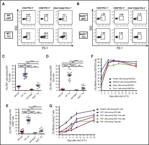 Figure 6. Kinetics of increased surface marker expression on T cells and CD8+ DCs after TLI in wild-type and Batf3−/− mice. (A) Representative FACS patterns of PD-1 on gated CD4+CD25− conventional T cells (Tcon), or PD-1 on gated CD8+ T cells, or PD-1 on gated CD4+CD25+ Tregs from untreated (n = 8) or TLI-treated wild-type mice (n = 11). (B) Similar stainings are shown in untreated (n = 5) or TLI-treated Batf3−/− mice (n = 10). (C-E) Percentages of PD-1+ cells among T-cell subsets from untreated WT or Batf3−/− mice or from TLI-treated WT or Batf3−/− mice. (F) Percentages of gated splenic CD8+ DCs that expressed Tim-4, DEC205, Treml4, or SIRPα before, during, or after 10 daily doses of TLI conditioning. (G) Percentages of gated NKT, Tregs, conventional CD4+ and conventional CD8+ T cells that expressed PD-1 or NKG2D at the different time points shown in panel F.
