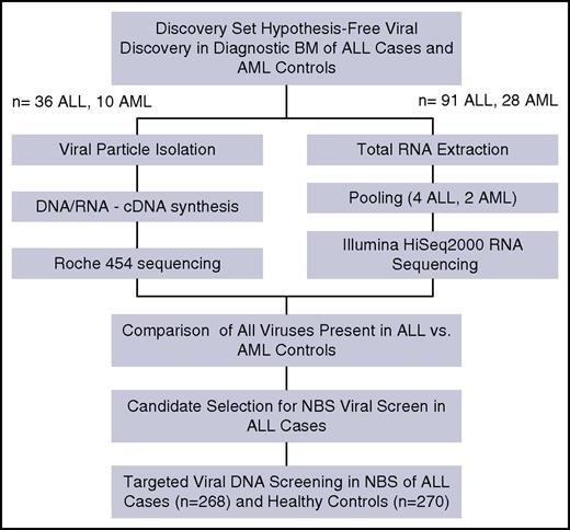 Figure 1. Flowchart of approach. cDNA, complementary DNA.