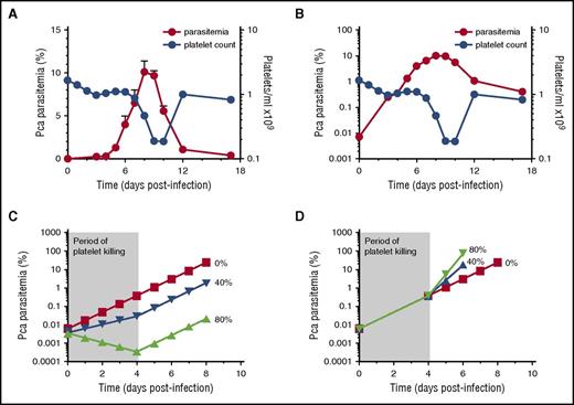 Figure 1. No change in slope of log(%parasitemia) after onset of thrombocytopenia that would suggest platelets affecting parasite replication in resolving, non-eCM Pca LV infection. Parasitemia denoted by red circles (left y-axis) with corresponding platelet counts/mL in blue circles (right y-axis) for panels A-B. (A) Parasitemia of Pca-infected mice (n = 10) plotted on a linear scale with latent parasitemia coinciding with thrombocytopenia. (B) Parasitemia in panel A plotted on logarithmic scale and no change in slope occurs at the onset of thrombocytopenia on day 4 PI. This experiment was replicated 3 times. (C) Modeling of log of %(parasitemia) at selected rates of parasite killing by platelets between day 0 and 4 PI assuming sequestration does not affect parasitemia. We model the Pca LV parasitemia in a 20 g mouse, which calculates the initial parasitemia (supplemental Table 1). Platelet killing of Pf-iRBCs is ∼80%,4,5 and we compare this with a more conservative 40% killing and no killing. At initiation of LV infection, the 20 g mouse has: 1 × 106 iRBCs; 1.6 × 1010 RBCs; 1.6 × 109 platelets; and a platelet effector to iRBC target ratio >1000, resulting in ∼80% killing of iRBCs by platelets based on in vitro killing of Pf-iRBCs.4,5 At the onset of thrombocytopenia (day 4PI: ∼0.5% parasitemia; 1.6 × 1010 RBCs, and 1.6 × 109 platelets), the platelet effector-to-target ratio is 20:1; theoretically, platelet killing is minimal below 160:1.5 The period of platelet killing of iRBCs is therefore between day 0 and 4 PI (shaded, labeled “Period of platelet killing”). During ascending parasitemia (day 7PI: ∼6% parasitemia; 1.6 × 1010 RBCs; and ∼1.6 × 108 platelets), the ratio is 1:600. The parasite replicates each night producing new progeny, and the MOI during period of no killing and determined from panel B is 2.8. If each day during the platelet killing period, 80% or 40% of iRBCs are killed by platelets, then MOI declines to 0.6 (20% of 2.8) and 1.7 (60% of 2.8), respectively. The measured parasitemia (B) fits 0% line rather than 40% or 80% killing. (D) Modeling of log(%parasitemia) assuming similar degrees of iRBC sequestration throughout ascending parasitemia and platelet killing until day 4 PI as described above in panel C. Because the slope of log(%parasitemia) is linear, parasitemia likely reflects overall parasite load. The slope of log(%parasitemia) during period of platelet killing from day 0 to 4PI is 2.8 (B); this estimates effective rate of parasitemia increase with sequestration. Because platelet killing is minimal beyond day 4 PI, this rate of parasitemia increase should increase markedly with an MOI from 2.8 (0% killing) to 14 (80% killing) and 7 (40% killing) after day 4 PI. The measured parasitemia (B) clearly fits 0% platelet killing best. The modeling indicates that the slope of log(%parasitemia) should change markedly if platelet killing occurs.