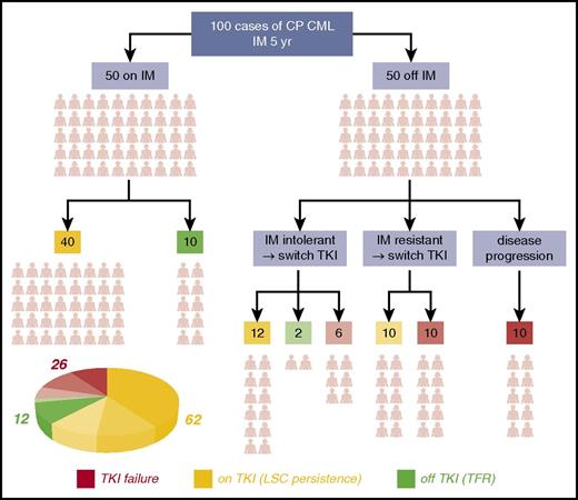 Figure 1. The CP CML patients’ journey through TKI therapy for 5 years. The schematic shows the clinical outcome for a typical 100 CP CML patients with respect to response to imatinib (IM) over the course of 5 years and the decision-tree leading to discontinuing TKI or switching to second- or third-generation TKIs for various reasons. Outcomes were compiled based on data obtained from various sources.31,143-146 By the end of year 5: 12 (green segment of the pie chart) of these 100 patients will typically be off TKI and in therapy-free remission (TFR), more than one-quarter (26) (red segment of the pie chart) will have failed TKI therapy (even after drug switching or through disease progression to accelerated phase or blast crisis), and the majority (62) (amber segment of the pie chart) will remain on long-term TKI therapy but have residual disease resulting from LSC persistence in their BM.