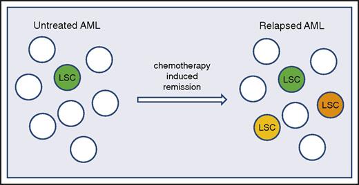 Figure 1. LSC frequency and heterogeneity increase after unsuccessful treatment of AML. In de novo AML, the LSC population is relatively uniform and present at a low frequency (LSC represented by green colored cell). Upon treatment with chemotherapy, when patients attain a remission and subsequently relapse, the relapse is characterized by increased numbers of LSCs and a more heterogeneous LSC population (indicated by green, orange, and yellow colored cells).10