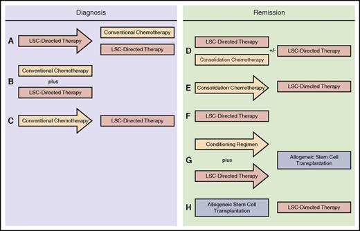 Figure 2. Potential clinical trial designs of LSC-directed therapies, administered both at diagnosis and in remission. (A) The optimal approach for use of an LSC-directed therapy at diagnosis, in which the LSC-directed therapy is administered first as a single agent, followed by conventional chemotherapy, usually with continuous concomitant use of the LSC-directed therapy. This scenario allows for the independent study of the impact of the LSC-directed therapy. (B) Concurrent administration of LSC-directed therapy and conventional chemotherapy during induction; this is feasible if the action of the drugs involved is not antagonistic or associated with significant overlapping toxicity. (C) LSC-directed therapies can be used after conventional therapy. The concern with this approach is that instituting conventional chemotherapy first may result in the development of a more complex, heterogeneous LSC population that will be less amenable to treatment with the LSC-directed therapy. During standard consolidation, LSC-directed therapies can be paired with conventional consolidation therapy, with the option of maintaining the LSC-directed therapy for a more extended period (D) or administering in sequence with consolidation chemotherapy (E). (F) LSC-directed therapies may also be administered as maintenance therapy, in the absence of chemotherapy, in some situations in which a patient who has achieved a remission may not be a candidate for consolidation chemotherapy. (G) LSC-directed therapies may be employed in conditioning regimens before allogeneic stem-cell transplantation. (H) LSC-directed therapies can be used in the posttransplantation setting, which is particularly appealing for those patients with risk factors for relapse after transplantation.