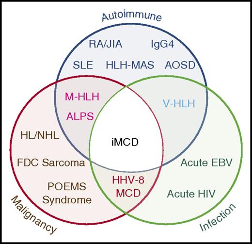 Figure 1. Significant clinical, histologic, and immunologic overlap between iMCD, malignancy, autoimmune, and infectious disorders. The exact location for iMCD on the spectrum from autoimmune, malignant, and infectious diseases is currently unknown and may vary from patient to patient. ALPS, autoimmune lymphoproliferative syndrome; AOSD, adult-onset Still disease; EBV, Epstein-Barr virus; FDC, follicular dendritic cell; HHV-8, human herpesvirus-8; HL, Hodgkin lymphoma; HLH-MAS, hemophagocytic lymphohistiocytosis- macrophage activation syndrome; IgG4, IgG4-related disease; JIA, juvenile idiopathic arthritis; M-HLH, malignancy-associated hemophagocytic lymphohistiocytosis; NHL, non-Hodgkin lymphoma; POEMS, polyneuropathy, organomegaly, endocrinopathy, monoclonal paraprotein, skin changes; RA, rheumatoid arthritis; SLE, systemic lupus erythematosus; V-HLH, viral hemophagocytic lymphohistiocytosis.