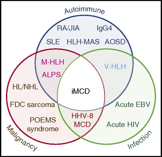 Venn diagram showing overlap between iMCD and other entities with similar clinical and pathologic presentations which must be excluded before making the diagnosis ALPS, autoimmune lymphoproliferative syndrome; AOSD, adult-onset Still disease; EBV, Epstein-Barr virus; FDC, follicular dendritic cell; HL, Hodgkin lymphoma; HLH-MAS, hemophagocytic lymphohistiocytosis- macrophage activation syndrome; IgG4, IgG4-related disease; JIA, juvenile idiopathic arthritis; M-HLH, malignancy-associated hemophagocytic lymphohistiocytosis; NHL, non-Hodgkin lymphoma; POEMS, polyneuropathy, organomegaly, endocrinopathy, monoclonal paraprotein, skin changes; RA, rheumatoid arthritis; SLE, systemic lupus erythematosus; V-HLH, viral hemophagocytic lymphohistiocytosis. See Figure 1 in the article by Fajgenbaum et al that begins on page 1646.