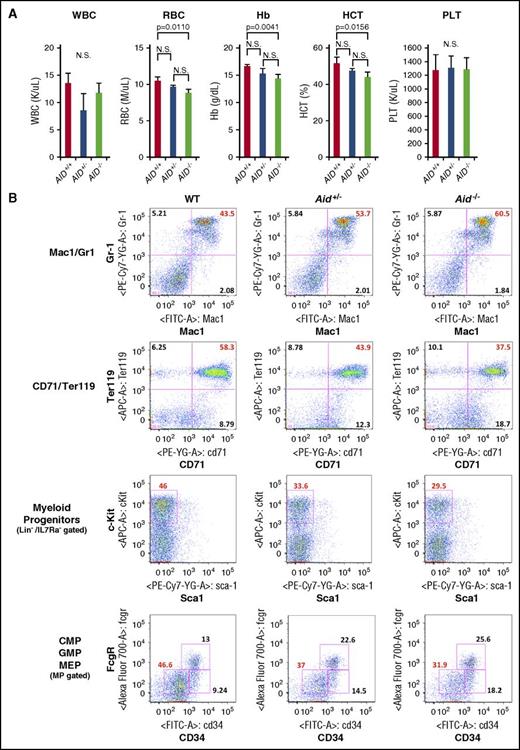 Figure 2. Aid loss causes myeloid expansion and anemia in vivo. (A) PB samples were collected from WT, Aid+/−, and Aid−/− adult mice around 8 weeks old. White blood cell (WBC) counts, RBC counts, Hb levels, HCT percentages, and platelet counts were measured. The data are mean ± SD (WT and Aid+/−; n = 3, Aid−/−; n = 4). (B) Representative immunophenotype of BM granulocyte/monocyte lineage (Mac1/Gr1), erythroid lineage (CD71/Ter119), myeloid progenitors (Lineage−IL7Ra−Sca1−cKit+), and common myeloid progenitors (CMPs)/GMPs/MEPs derived from WT, Aid+/−, and Aid−/− adult mice around 8 weeks old. MP, myeloid progenitor; N.S., not significant; PLT, platelet.
