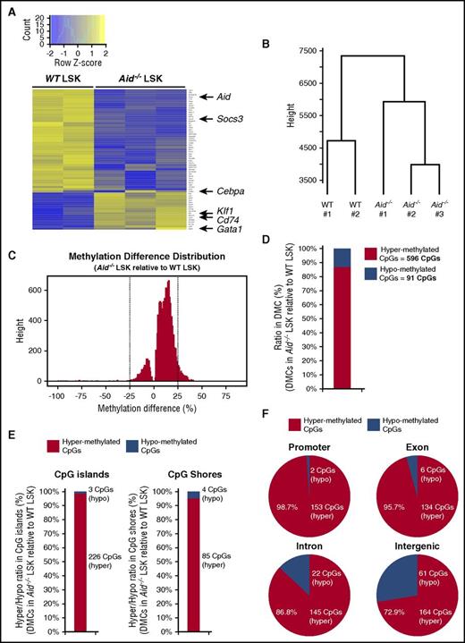 Figure 6. Deletion of Aid leads to transcriptional alteration of some key regulators of erythropoiesis and enhanced DNA methylation in gene regulatory elements. (A) Differential gene expression analysis from RNA-seq data of WT and Aid−/− BM LSK cells (WT, n = 2; Aid−/−, n = 3). (B) Dendrogram of the hierarchical clustering based on RNA-seq profiles from WT and Aid−/− LSK cells (WT, n = 2; Aid−/−, n = 3). (C) Methylation difference distribution of CpGs (q < 0.01 only) in Aid−/− LSK cells relative to WT LSK cells based on eRRBS methylation profiles. Pattern clearly shows shift toward more hypermethylated phenotype. DMCs were called as the CpGs with q < 0.01 and >25% change in either direction (as shown by the vertical lines). (D) The ratio and the exact number of hypermethylated and hypomethylated CpGs within total DMCs in Aid−/− LSK cells relative to WT LSK cells. (E) The ratio and the exact number of hypermethylated and hypomethylated CpGs within DMCs localized in CpG islands or CpG shores in Aid−/− LSK cells relative to WT LSK cells. (F) The ratio and the exact number of hypermethylated and hypomethylated CpGs within DMCs localized in coding regions in Aid−/− LSK cells relative to WT LSK cells.