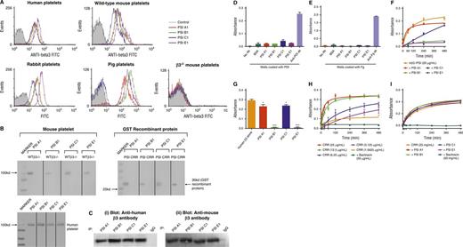 Figure 3. Anti-β3 PSI domain antibodies bind specifically to the PSI domain of β3 integrin. (A) Flow cytometry demonstrated that anti-β3 PSI mAbs (PSI A1, PSI B1, PSI C1, and PSI E1) bound to β3 on platelets: wild-type or β3−/− murine platelets, human, pig, or rabbit platelets were incubated with PBS (control) or anti-PSI mAbs followed by incubation with fluorescein isothiocyanate–conjugated anti-mouse IgG. The binding was tested using flow cytometry. (B) The mAbs (PSI A1, PSI B1, PSI C1, and PSI E1) recognize the linear epitope of β3-integrin PSI domain. The recombinant PSI domain or the lysates from wild-type or β3−/− platelet were loaded into a 10% sodium dodecyl sulfate–polyacrylamide gel electrophoresis in reducing conditions. After electrophoresis and transfer, the polyvinylidene fluoride membrane was cut and each strip was incubated with a different anti-PSI mAb, as indicated in the figure, followed by alkaline phosphatase (AP) or HRP-conjugated anti-mouse IgG. The binding was detected by 5-bromo-4-chloro-3-indolyl phosphate-toluidine salt/nitro blue tetrazolium–purple liquid (for AP) or chemiluminescent substrate following manufacturers’ instructions. (C) Immunoprecipitation further demonstrated that anti-mouse β3 PSI domain mAbs specifically bound the β3-integrin PSI domain. The anti-PSI mAbs were used for the immunoprecipitation and the commercial anti-human (i) or anti-mouse β3 integrin (ii) antibodies were used for the western blot. NIT G, an anti-GPIb mAb, was used as a negative IgG control. 1 × 108 platelets were used. (D-E) Anti-PSI mAbs did not bind PDI (D) or fibrinogen (E). ELISA plate wells were coated with PDI (1 μg/mL) or fibrinogen (0.1 μg/mL) overnight. After blocking with bovine serum antigen (1 μg/mL) for 1 hour, anti-PSI mAbs (1 μg/mL), anti-PDI antibody (positive control), or anti-fibrinogen antibody (positive control) was added and incubated for 1.5 hours at 37°C. After addition of HRP-conjugated secondary antibody, substrate was added and absorbance was measured at 492 nm. (F) Anti-PSI mAbs significantly inhibited mouse β3-integrin recombinant PSI thiol-isomerase function (mean ± SEM; absorbance after 480 minutes from different groups was compared; PSI A1 and PSI C1 vs rPSI: P < .05; PSI B1 and PSI E1 vs rPSI: P < .01; n = 3 each). (G) Anti-PSI mAbs (5 μg/mL) inhibited purified native human β3-integrin (40 μg/mL) thiol-isomerase function (mean ± SEM; *P < .05, ***P < .001; n = 3). (H-I) Anti-PSI mAbs did not inhibit CRR PDI-like activity. CRR has endogenous PDI-like activity (H). CRR was incubated with or without anti-PSI mAbs (5 μg/mL) followed by adding rdRNase overnight. The PDI-like activity was measured using rdRNase assay.