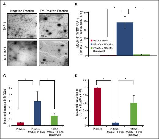 Figure 4. AML cells release EVs that traffic to surrounding cells, altering the tumor microenvironment. (A) AML EVs were isolated using a spin-column and visualized using transmission electron microscopy (×1000). The negative spin-column fraction was used as a control. To determine whether AML EVs traffic to surrounding cells, we cocultured PBMCs in direct contact or in a 0.4-μM Transwell, with MOLM-14 AML cells pretreated with SYTO RNA dye (530 nm). (B) After 6 hours, MDSCs were quantified for AML SYTO RNA dye using flow cytometry. Healthy donor PBMCs were cultured for 3 days with AML EVs in direct contact or in a 0.4-μM Transwell and then quantified for (C) CD11b+/HLA-DR−/CD33+ MDSCs (expressed as a percentage of immature CD11b+/HLA-DR− myeloid cells) and (D) HLA-DR+/CD11c+ myeloid APCs by flow cytometry (n = 3). *P < .05.
