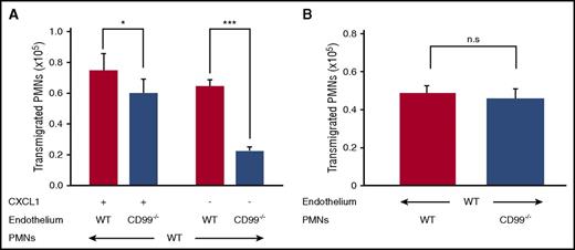 Figure 4. Loss of CD99 from endothelial cells impairs neutrophil transmigration in vitro. (A) Bone marrow–derived neutrophils from WT mice were allowed to transmigrate through 16-hour TNF-α–stimulated, WT (red bars) or CD99−/− (blue bars) primary lung endothelial cells in the presence (30 minutes) or absence (90 minutes) of CXCL1 (n = 24 per group from 4 independent experiments). Results are displayed as mean ± standard error of the mean (SEM). *P < .05 and ***P < .001, as per Mann-Whitney U test. (B) Bone marrow–derived neutrophils from WT mice (red bars) or CD99−/− mice (blue bars), were allowed to transmigrate for 30 minutes through 16-hour TNF-α–stimulated WT primary lung endothelial cells in the presence of CXCL1 (n = 19 per group from 3 independent experiments). Results are displayed as mean ± SEM. n.s., *P < .05, and ***P < .001, as per unpaired Student t test. PMN, polymorphonuclear neutrophil.