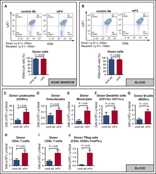 Figure 5. Effect of anti-VEGFR-3 treatment on hematopoietic reconstitution after allo-HSCT. Allo-HSCT recipients received intraperitoneal injections of 1 mg anti-VEGFR-3 antibody (mF4-31c1) or control antibody every second day from day 0 to day +10; 129/SV → C57BL/6, conditioning with Bu/Cy, allo-HSCT with 1.5 × 107 BM cells, 2 × 106 T cells. On day +11, allo-HSCT recipients were sacrificed, and organs were harvested for cell isolation and FACS analysis. (A-B) Chimerism was analyzed by staining of bone marrow cells (A) and blood cells (B) against Ly9.1 and H2kb (n = 4 per group). (C-J) Cell counts of immune cells in the blood of control antibody versus mF4-31c1–treated animals measured by flow cytometry (n = 4 per group). Error bars indicate mean ± SEM; significance was tested with an unpaired Student t test. TReg, regulatory T-cells.