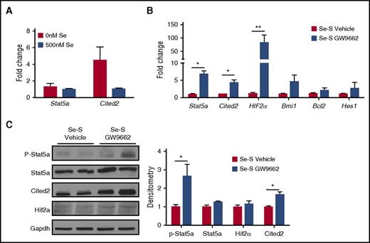 Figure 2. PPARγ inhibition by GW9662 increases Stat5a and downstream targets. Lin− splenocytes from Se-S BCR-ABL mice treated with or without GW9662 were analyzed for RNA and protein expression of Stat5a and downstream targets. (A) Lin−GFP+c-Kit+Sca-1+ FACS-sorted LSCs were treated with or without sodium selenite (500 nM) for 24 hours and the expression of Stat5a and Cited2 was examined by real-time PCR. (B) qPCR expression as fold change compared with Se-S vehicle for each gene and normalized to 18S rRNA expression (n = 4). (C) Western immunoblot analysis showing representative blot and densitometry (normalized to Se-S for each protein and relative to Gapdh) (n = 3-4). Bars represent biological mean ± SEM. All analysis was done in technical triplicate. *P < .05; **P < .01.