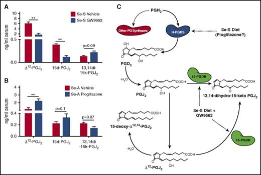 Figure 4. Endogenous Δ12 -PGJ2 and 15d-PGJ2 concentrations are affected when PPARγ is targeted in CML mice. Lipid extracts from the serum of BCR-ABL mice were analyzed by LC-MS/MS for Δ12-PGJ2, 15d-PGJ2, and 13,14-dihydro-15-keto PGJ2 (13,14di-15k-PGJ2). (A) Se-S BCR-ABL mice treated with or without GW9662. Se-S mice were given daily i.p. injection of GW9662 (1 mg/kg) starting 1 day prior to BCR-ABL transplant until euthanized (n = 3). (B) Pioglitazone (5 mg/kg) was given by i.p. injection daily starting 1 day prior to BCR-ABL transplant (n = 5-6). Bars represent biological mean ± SEM (*P < .05). (C) Schematic of selenium supplementation and GW9662 involvement in endogenous PPARγ ligand synthesis in BCR-ABL mice. Se-S diet increases H-Pgds, leading to subsequent increase in Δ12-PGJ2 and 15d-PGJ2. Pioglitazone may also increase CyPGs. GW9662 in Se-S BCR-ABL mice increases 15-Pgdh, which leads to breakdown of Δ12-PGJ2 and 15d-PGJ2.