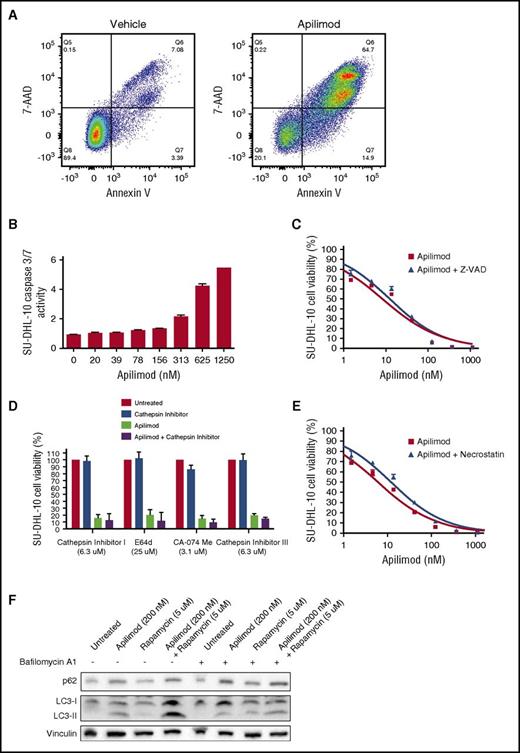 Figure 3. Apilimod induces noncanonical cytotoxicity in B-NHL. (A) Cytotoxicity of SU-DHL-10 B-NHL treated with either dimethyl sulfoxide (DMSO) or 200 nM apilimod for 3 days and stained with the viability dye 7-AAD and the apoptotic indicator Annexin V. Percentages of single- and double-positive cells are displayed. (B) DEVD-UltraGlo Luciferase cleavage activity in SU-DHL-10 B-NHL after 2-day treatment with the indicated concentration of apilimod. (C) Viability of SU-DHL-10 B-NHL measured under increasing concentrations of apilimod ± 25 μM of the caspase inhibitor Z-VAD-FMK for 3 days. (D) Viability of SU-DHL-10 B-NHL treated with apilimod and the indicated concentration of cathepsin inhibitor (cathepsin inhibitor I, E64d, CA-074 Me, or cathepsin inhibitor III) for 3 days. Apilimod was used at 156 nM in single-agent and combination experiments. (E) Viability of SU-DHL-10 B-NHL that were pretreated for 24 hours with 5 μg/mL of the necroptosis inhibitor necrostatin-1 and subsequently cotreated with 5 μg/mL necrostatin-1 and the indicated concentration of apilimod for 3 days. (F) Representative western blot of SU-DHL-10 B-NHL cells that were treated with vehicle, apilimod (200 nM), the autophagy inducer rapamycin (5 μM) or the combination of apilimod and rapamycin in the absence or presence of the autophagy inhibitor bafilomycin A1 (500 nM added for the last 8 hours) for 24 hours. Cell lysates were probed with antibodies against LC3, p62, or vinculin (loading control).